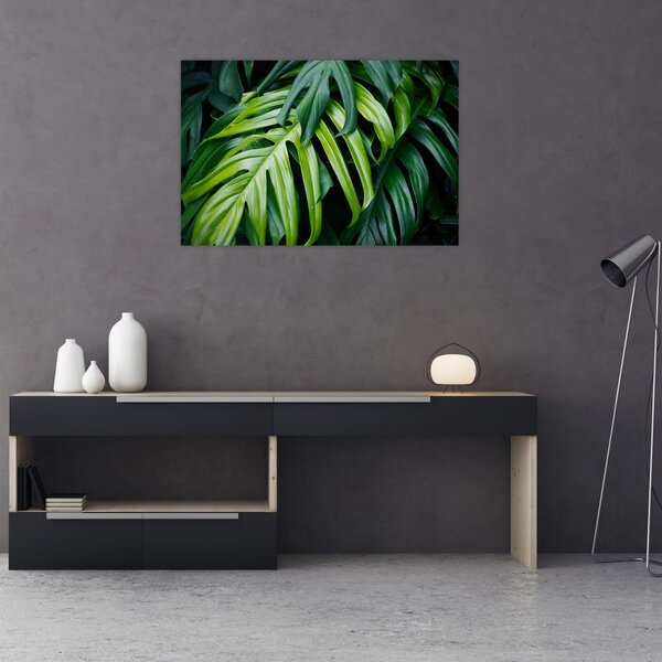 Slika - Tropski listi (90x60 cm)