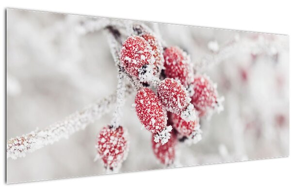 Slika - Zamrznjeno sadje (120x50 cm)