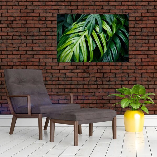 Slika - Tropski listi (90x60 cm)
