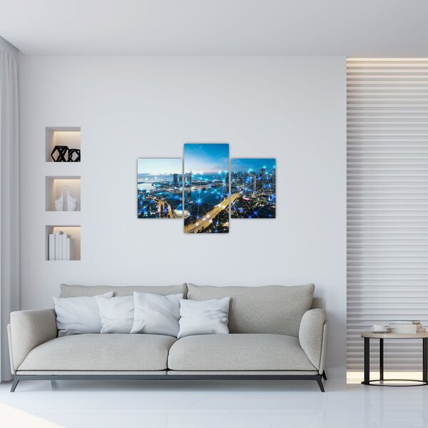 Slika - Mestno omrežje (90x60 cm)