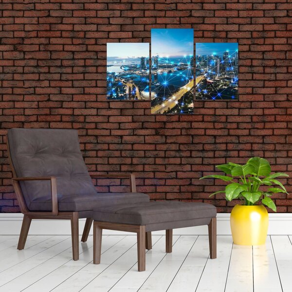 Slika - Mestno omrežje (90x60 cm)
