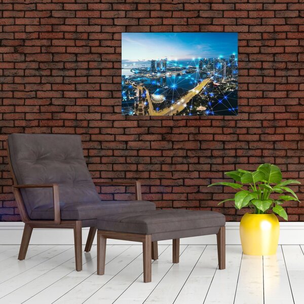 Slika - Mestno omrežje (70x50 cm)