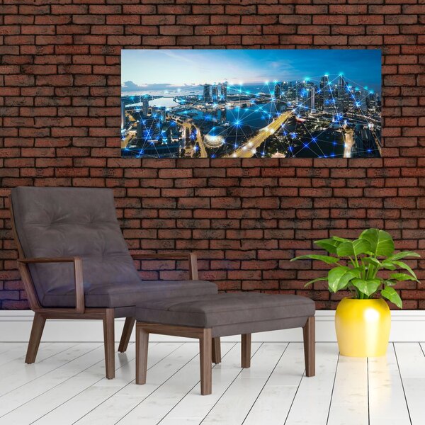 Slika - Mestno omrežje (120x50 cm)