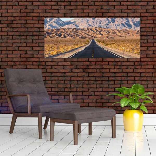 Slika - Dolina smrti, Kalifornija, ZDA (120x50 cm)
