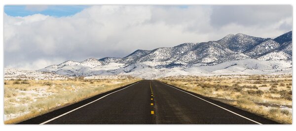 Slika - Great Basin, Nevada, ZDA (120x50 cm)
