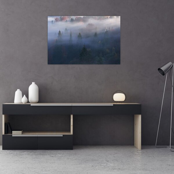 Slika - Gozd v megli, Karpati, Ukrajina (90x60 cm)