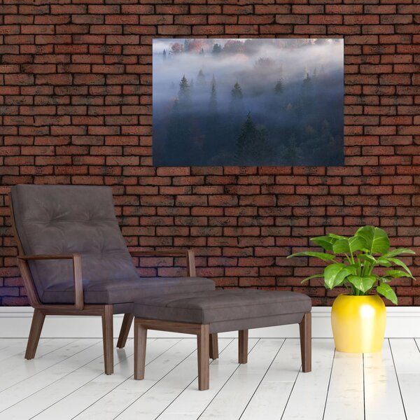 Slika - Gozd v megli, Karpati, Ukrajina (90x60 cm)