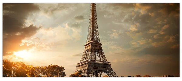 Slika - Eifflov stolp, Pariz, Francija (120x50 cm)
