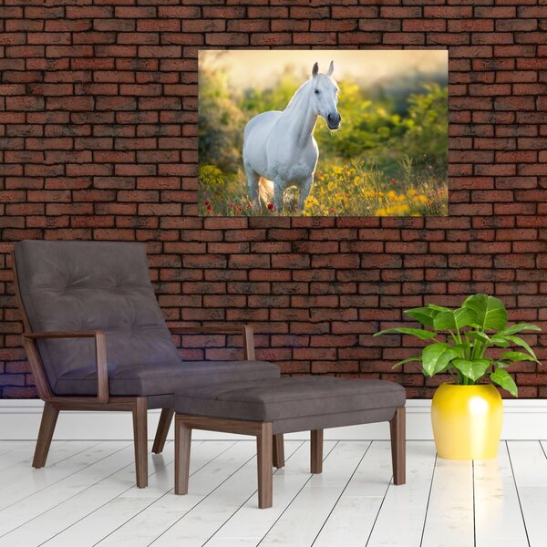 Slika belega konja na travniku (90x60 cm)