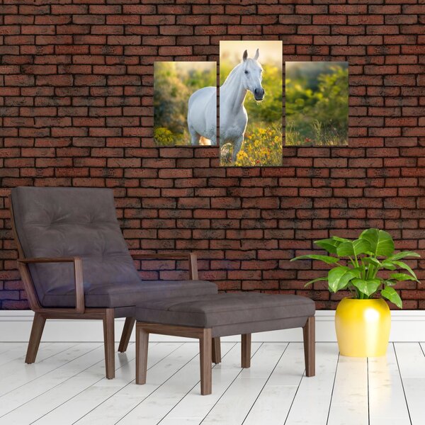 Slika belega konja na travniku (90x60 cm)