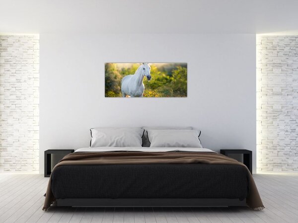 Slika belega konja na travniku (120x50 cm)