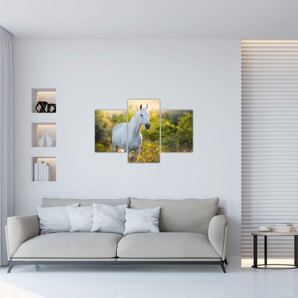 Slika belega konja na travniku (90x60 cm)