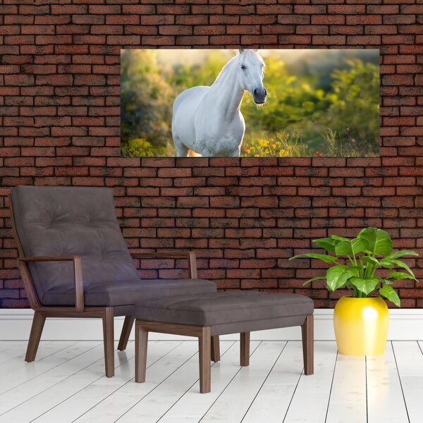 Slika belega konja na travniku (120x50 cm)
