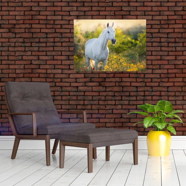 Slika belega konja na travniku (70x50 cm)