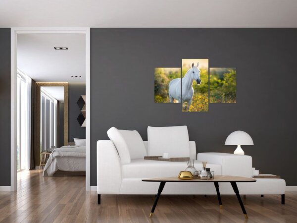 Slika belega konja na travniku (90x60 cm)