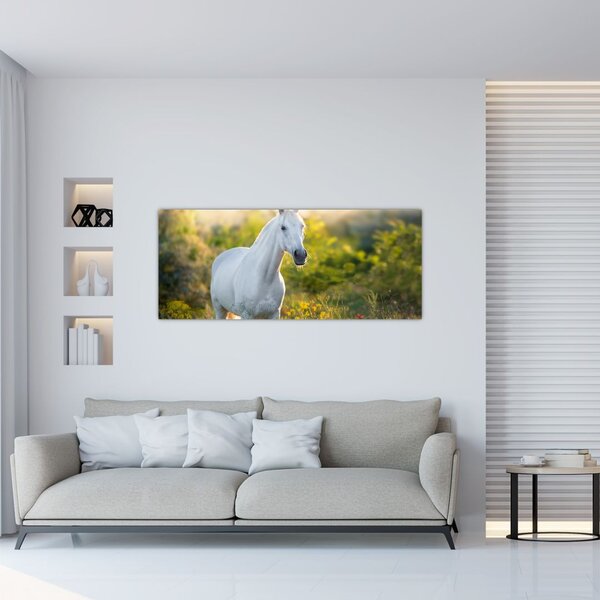 Slika belega konja na travniku (120x50 cm)