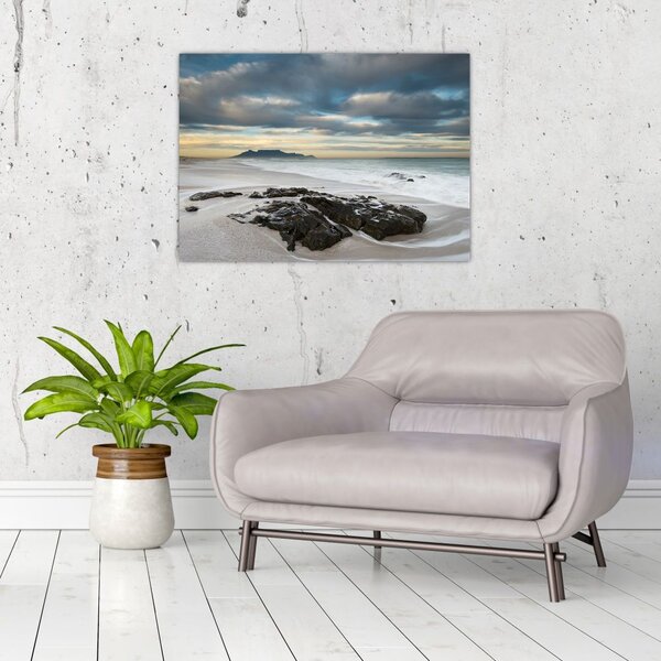Slika - Otok Robben (70x50 cm)