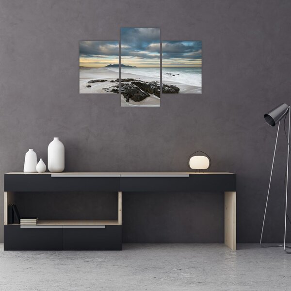 Slika - Otok Robben (90x60 cm)