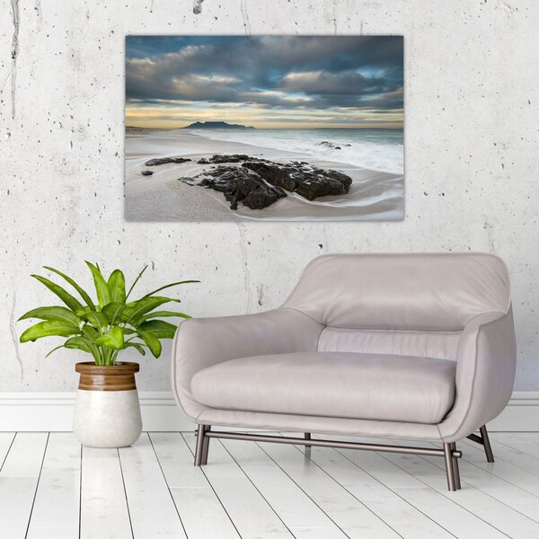 Slika - Otok Robben (90x60 cm)