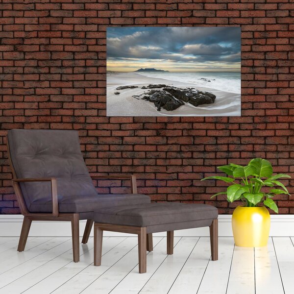 Slika - Otok Robben (90x60 cm)