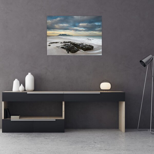 Slika - Otok Robben (70x50 cm)