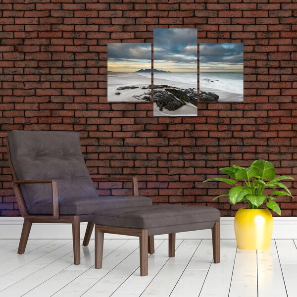 Slika - Otok Robben (90x60 cm)