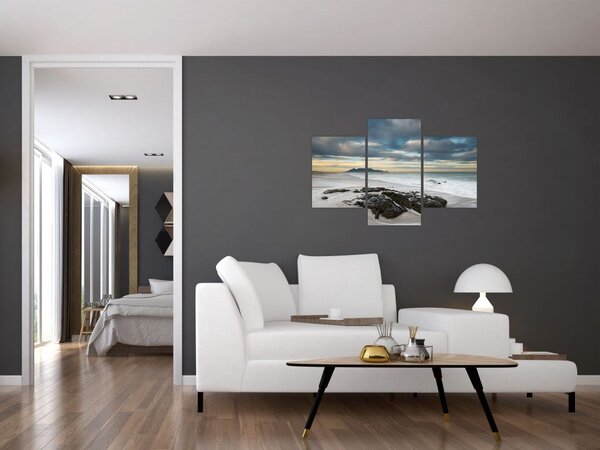 Slika - Otok Robben (90x60 cm)