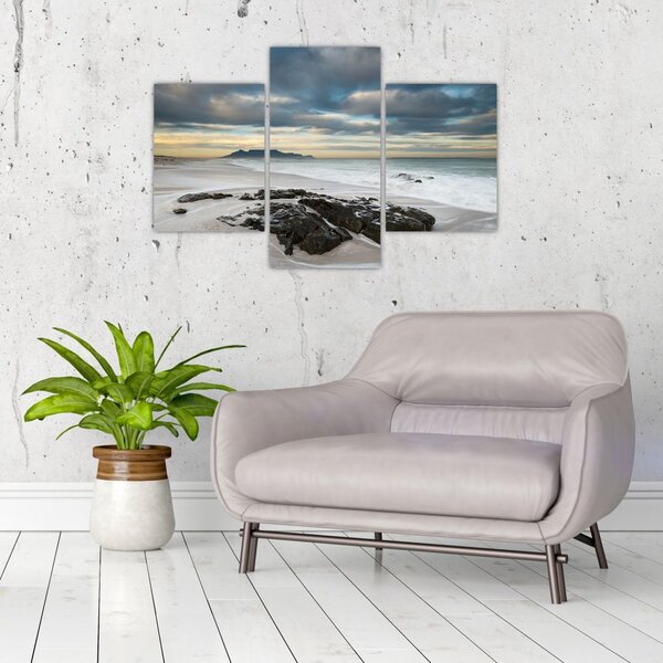 Slika - Otok Robben (90x60 cm)