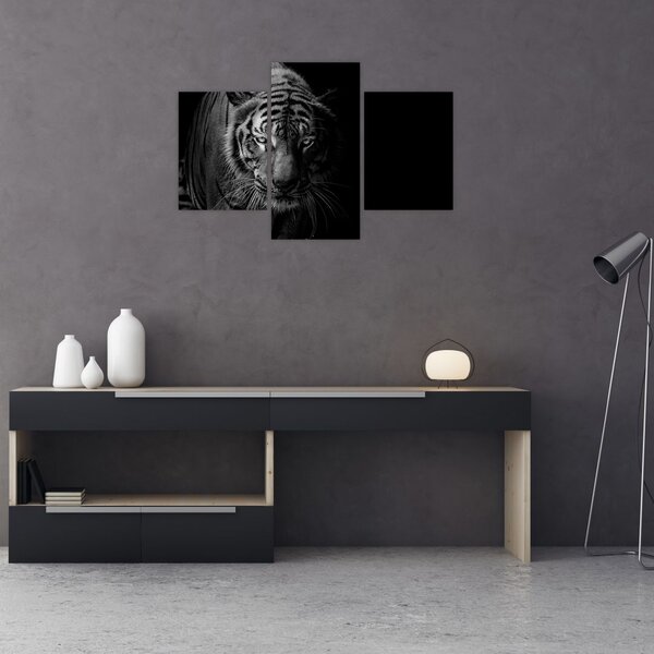 Slika divjega tigra (90x60 cm)