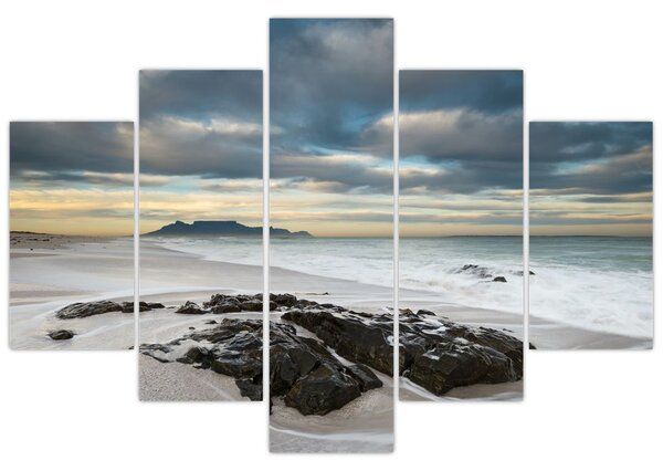 Slika - Otok Robben (150x105 cm)