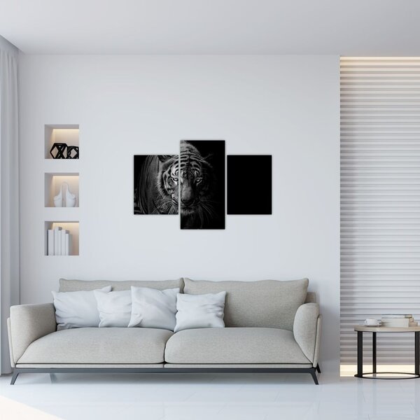 Slika divjega tigra (90x60 cm)
