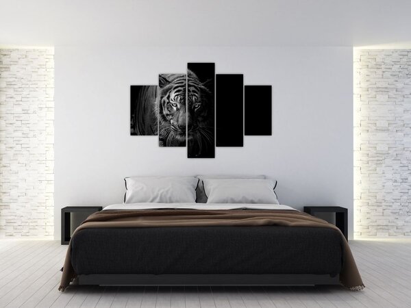 Slika divjega tigra (150x105 cm)