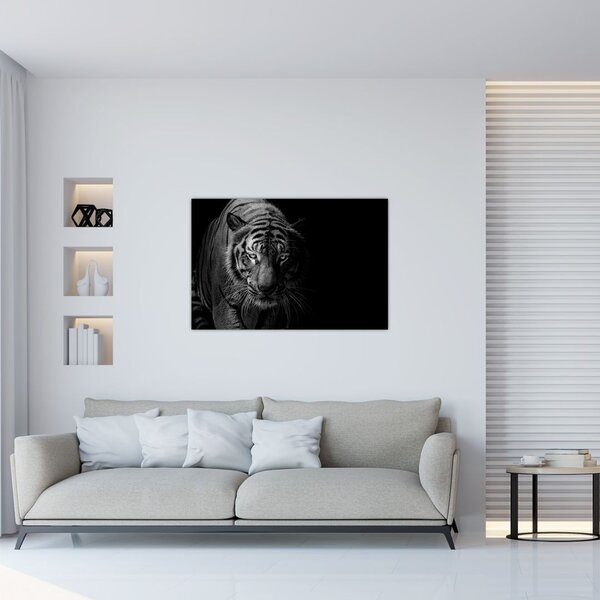 Slika divjega tigra (90x60 cm)