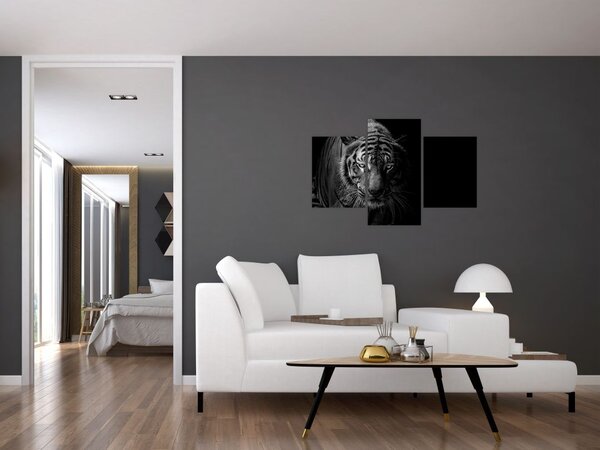 Slika divjega tigra (90x60 cm)