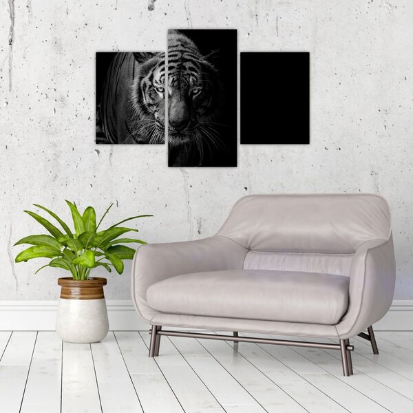 Slika divjega tigra (90x60 cm)