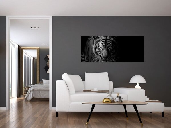 Slika divjega tigra (120x50 cm)