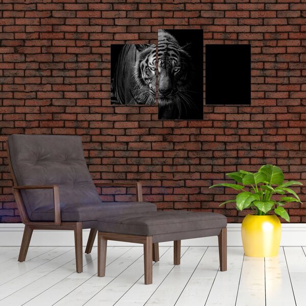 Slika divjega tigra (90x60 cm)