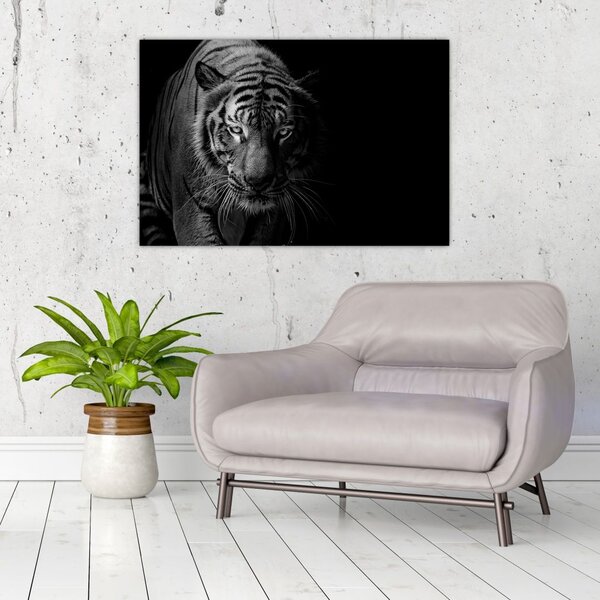Slika divjega tigra (90x60 cm)