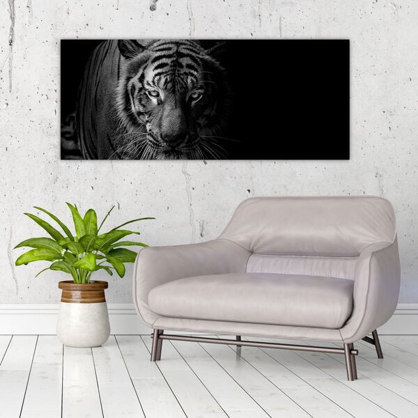 Slika divjega tigra (120x50 cm)