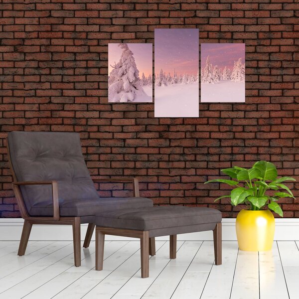 Slika - Drevesa pod snežno odejo (90x60 cm)