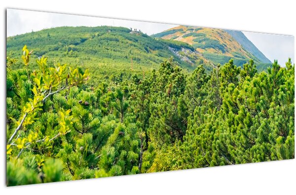 Slika - Babi Hora, Poljska (120x50 cm)