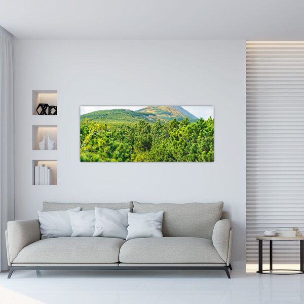 Slika - Babi Hora, Poljska (120x50 cm)