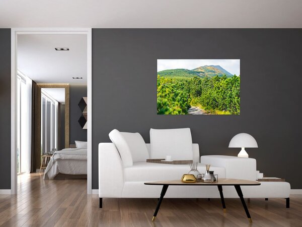 Slika - Babi Hora, Poljska (90x60 cm)