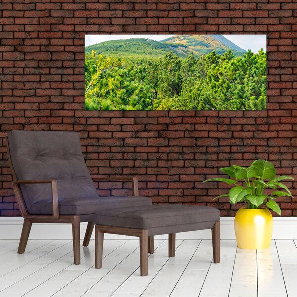 Slika - Babi Hora, Poljska (120x50 cm)