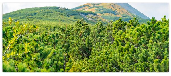 Slika - Babi Hora, Poljska (120x50 cm)