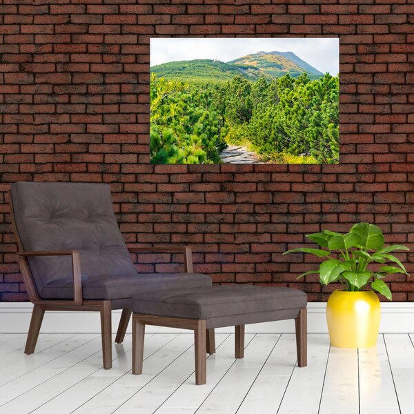 Slika - Babi Hora, Poljska (90x60 cm)