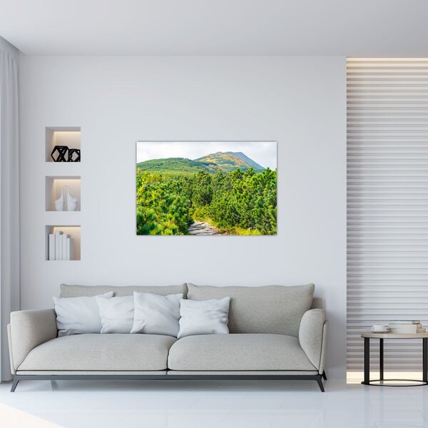 Slika - Babi Hora, Poljska (90x60 cm)