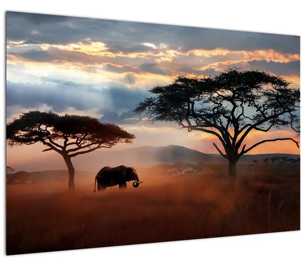Slika - Nacionalni park Serengeti, Tanzanija, Afrika (90x60 cm)