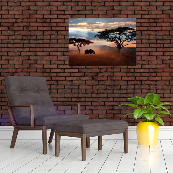 Slika - Nacionalni park Serengeti, Tanzanija, Afrika (70x50 cm)