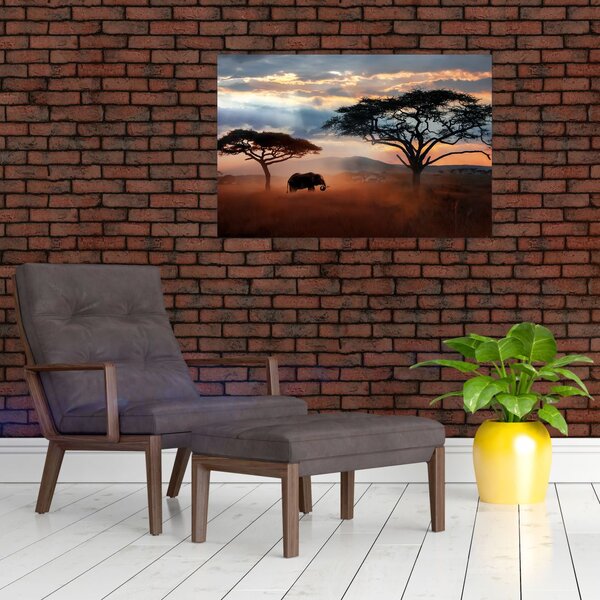 Slika - Nacionalni park Serengeti, Tanzanija, Afrika (90x60 cm)